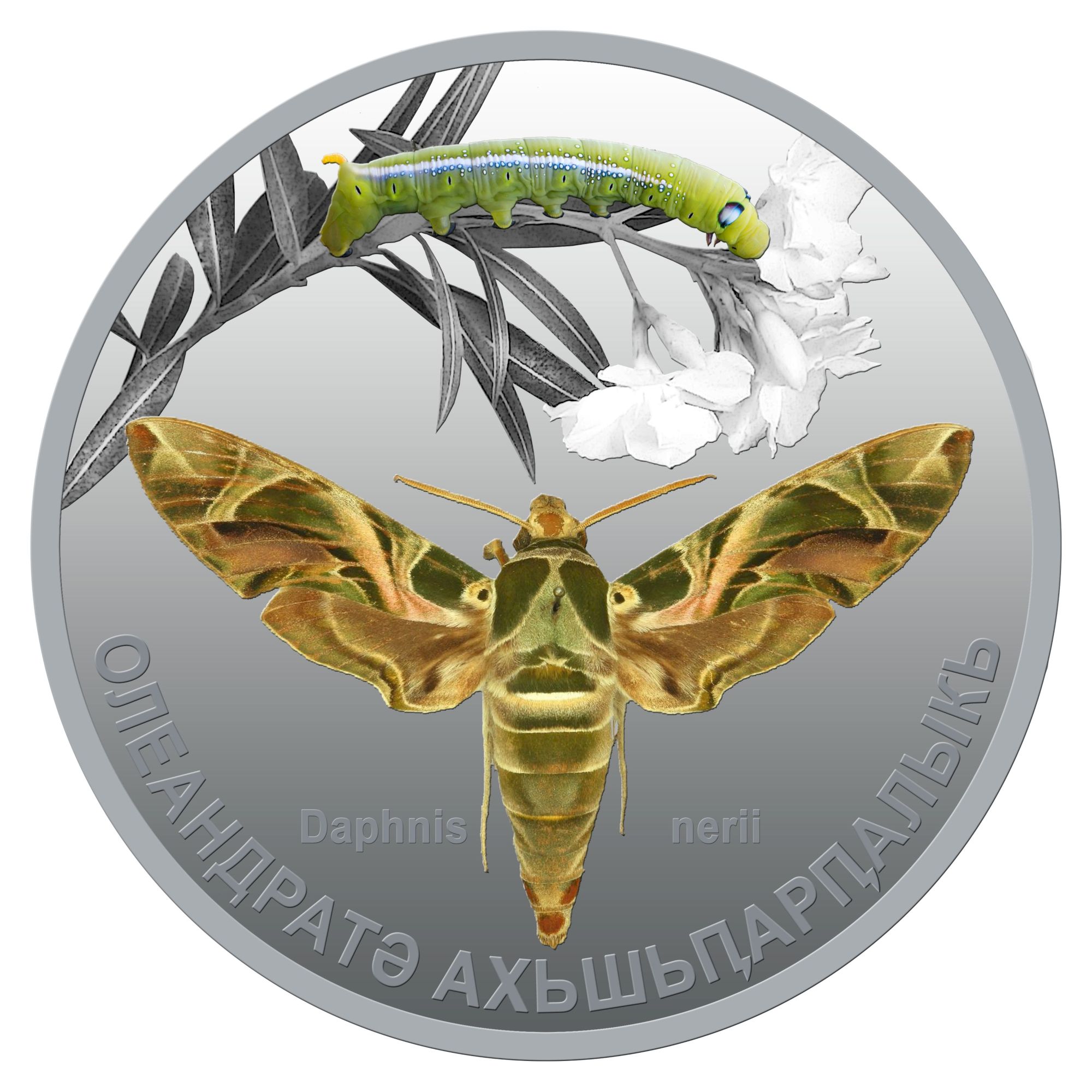 Бражник олеандровый