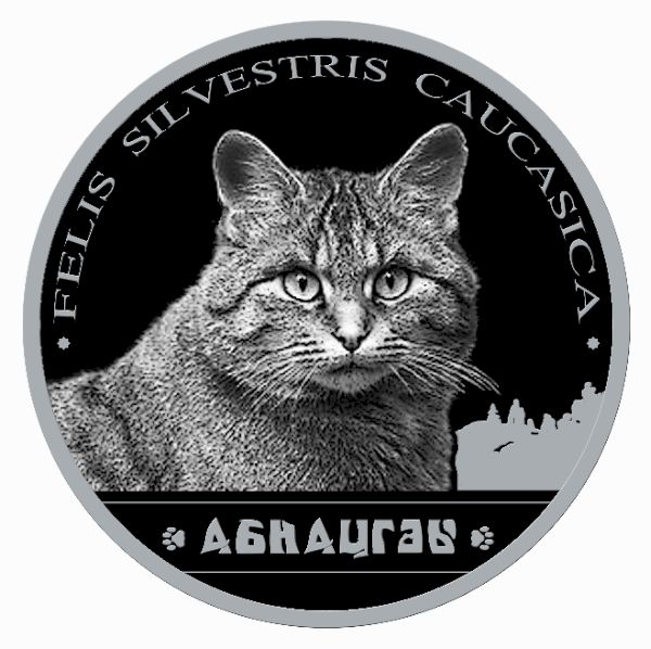 Абнацгәы